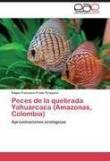 Peces de la quebrada Yahuarcaca (Amazonas, Colombia)