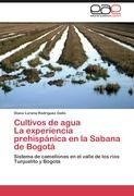 Cultivos de agua  La experiencia prehispánica en la Sabana de Bogotá