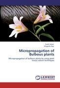 Micropropagation of Bulbous plants