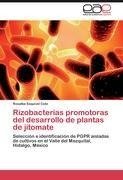 Rizobacterias promotoras del desarrollo de plantas de jitomate