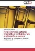 Piridoxamina: cofactor enzimático e inhibidor de la glicación protéica