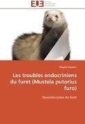 Les troubles endocriniens du furet (Mustela putorius furo)