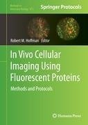 In Vivo Cellular Imaging Using Fluorescent Proteins