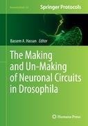 The Making and Un-Making of Neuronal Circuits in Drosophila