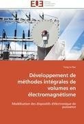 Développement de méthodes intégrales de volumes en électromagnétisme