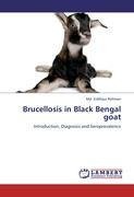 Brucellosis in Black Bengal goat