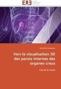 Vers la visualisation 3D des parois internes des organes creux