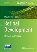 Retinal Development