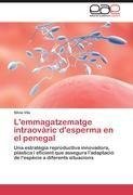 L'emmagatzematge intraovàric d'esperma en el penegal