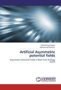 Artificial Asymmetric potential fields