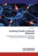 Looking Inside a Neural Network