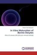 In Vitro Maturation of Bovine Oocytes