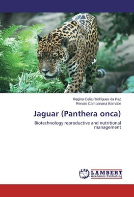 Jaguar (Panthera onca)