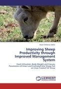 Improving Sheep Productivity through Improved Management System