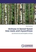 Archaea in boreal forest tree roots and mycorrhizas