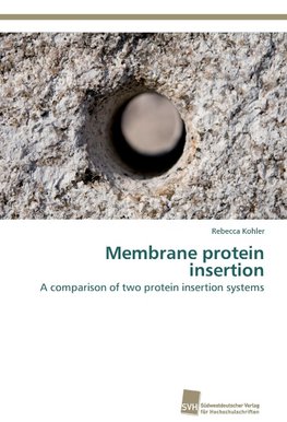 Membrane protein insertion