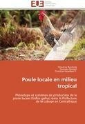 Poule locale en milieu tropical