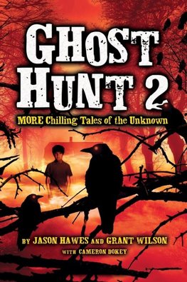 Ghost Hunt 2