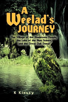 A Weelad's Journey