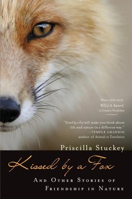 Kissed by a Fox