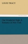 One Wonderful Night A Romance of New York