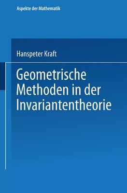 Geometrische Methoden in der Invariantentheorie