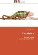 Caméléons