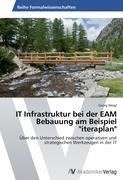 IT Infrastruktur bei der EAM Bebauung am Beispiel "iteraplan"