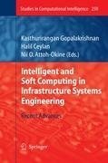 Intelligent and Soft Computing in Infrastructure Systems Engineering