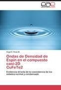 Ondas de Densidad de Espín en el compuesto casi-2D  CuFeTe2