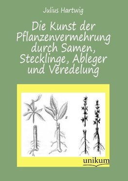 Die Kunst der Pflanzenvermehrung durch Samen, Stecklinge, Ableger und Veredelung