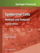 Epidermal Cells