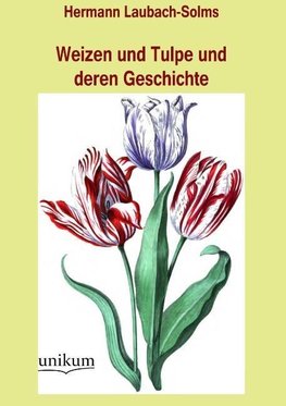 Weizen und Tulpe und deren Geschichte