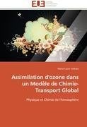 Assimilation d'ozone dans un Modèle de Chimie-Transport Global