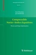 Compressible Navier-Stokes Equations. Theory and Shape Optimization