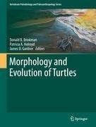 Morphology and Evolution of Turtles