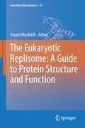 The Eukaryotic Replisome: a Guide to Protein Structure and Function