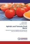 Aphids and Tomato Fruit Borer