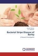 Bacterial Stripe Disease of Barley