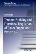 Tetramer Stability and Functional Regulation of Tumor Suppressor Protein p53