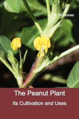 The Peanut Plant