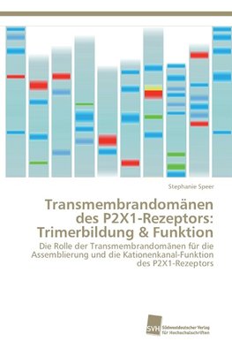 Transmembrandomänen des P2X1-Rezeptors: Trimerbildung & Funktion