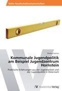 Kommunale Jugendpolitik am Beispiel Jugendzentrum Hornstein