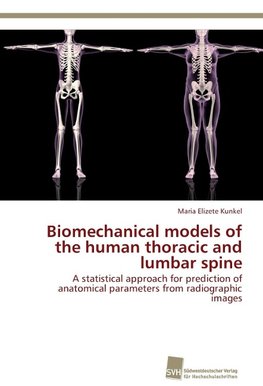 Biomechanical models of the human thoracic and lumbar spine