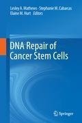 DNA Repair of Cancer Stem Cells