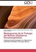 Madrigueras de la Tortuga del Bolsón (Gopherus flavomarginatus)