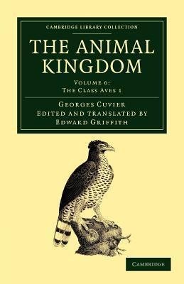 The Animal Kingdom - Volume 6