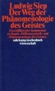 Der Weg der ' Phänomenologie des Geistes'