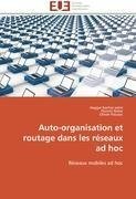 Auto-organisation et routage dans les réseaux ad hoc