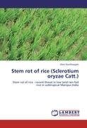 Stem rot of rice (Sclerotium oryzae Catt.)